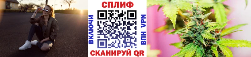 Магазины продажи наркотиков Кашин БУТИРАТ Канабис Alpha PVP АМФЕТАМИН Псилоцибиновые грибы