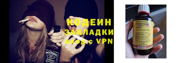 соль ск Нея