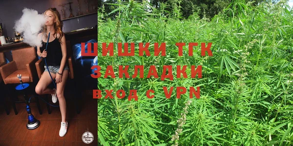 соль ск Нея
