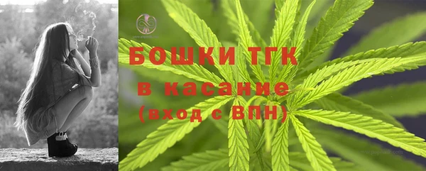 таблы Новодвинск