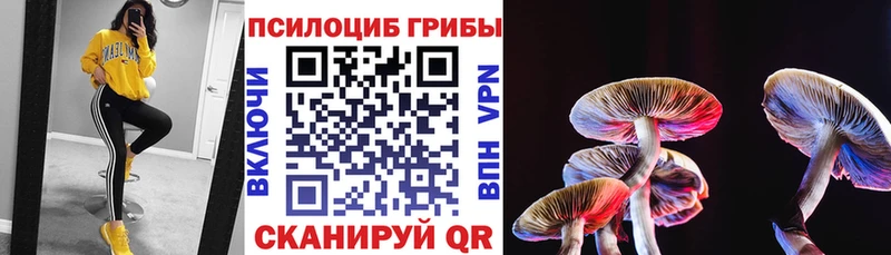 blacksprut как зайти  Кашин  Галлюциногенные грибы Cubensis  где продают наркотики 