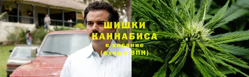 Бошки Шишки индика  Кашин 